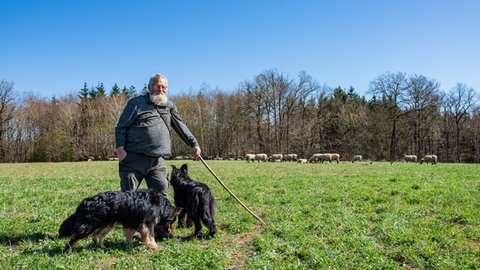 Schäfer Hermann Naunheim zieht mit seiner Herde ganzjährig um seinen Heimatdorf Strotzbüsch in der Vulkaneifel. 