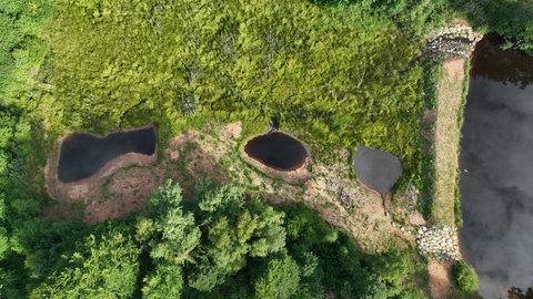 Vom Neuenweiher ist nur noch ein Teich (rechts im Bild) übrig, aus dem anderen sind drei flache Gewässer geworden, den Rest holt sich die Natur zurück.