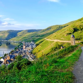 Der geplante Panorama-Höhenradweg Mosel bietet ein völlig neues Rad-Erlebnis mit spektakulären Ausblicken über die Mosel - wie hier bei Zell.