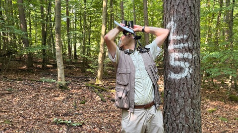 Forscher Friedrich Engels muss genau hinschauen: Nadeln, Blätter und Zweige zeigen schon, ob ein Baum gesund ist oder nicht.