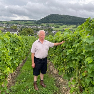 Günter Meierer ist Marktführer beim Federweißen von der Mosel. Jährlich füllt sein Betrieb in Osann-Monzel etwa 60.000 Flaschen ab. 