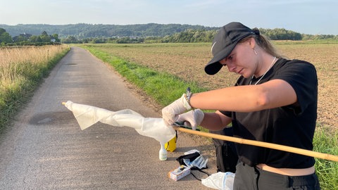 Auch beim Eintüten der Tücher muss Studentin Anne Klein vorsichtig sein, damit die Umwelt-DNA nicht kontaminiert wird. 