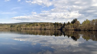 Die Steinbachtalsperre am Nationalpark Hunsrück-Hochwald: Sie stellt die Wasserversorgung der Bevölkerung im Kreis Birkenfeld sicher.