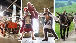 Staunen, spielen, Esel treffen: 12 Tipps für Herbstferien in der Region Trier.
