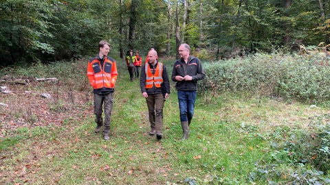 Prüfer Michael Kirchner (rechts) begutachtet im Meulenwald, wie Revierleiter und Forstwirte mit kritischen Situationen umgehen und wie nachhaltig sie den Wald bewirtschaften.