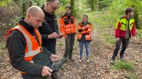 Der Revierleiter von Fell hat Bäume in seinem Laptop Bäume erfasst, die sich selbst überlassen werden - das soll die Natur schützen.
