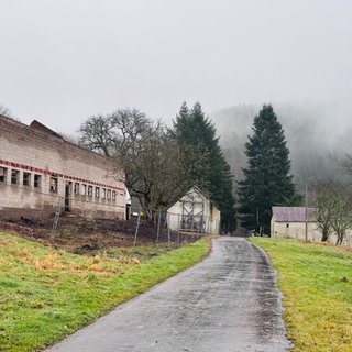 Der Staudenhof in der Eifel ist ein wahrer Lost Place: Viele Gebäude sind verfallen.