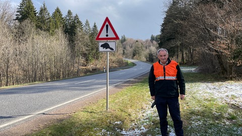 Trotz der Warnschilder werden an der B407 bei Reinsfeld im Hochwald immer wieder Biber überfahren. 