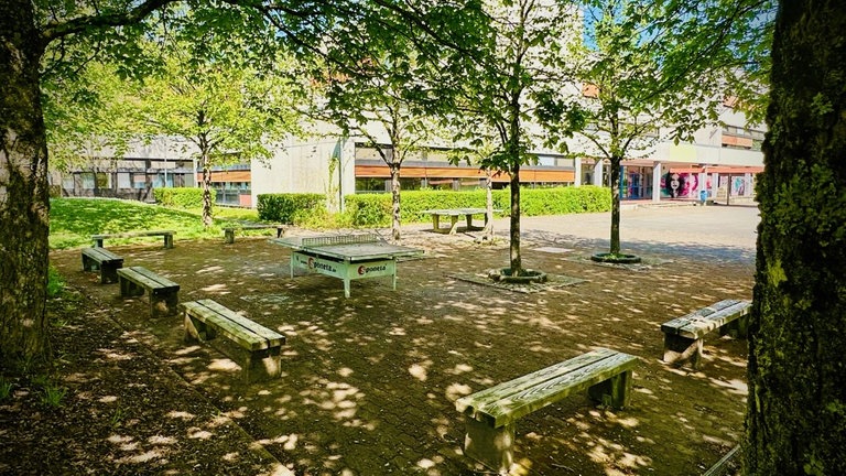 Bäume spenden viel Schatten auf dem Schulhof des Friedrich-Spee-Gymnasiums in Trier