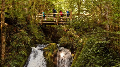 Wandern in Eifel, Hunsrück und an der Mosel. Für Outdoor-Fans gibt es entlang der Wandersteige viel Natur, tolle Ausblicke und viel Ruhe.