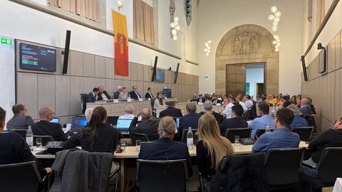 Stadtrat macht Weg frei für Probebühnen des Theater Triers. Er stimmt mehrheitlich für die Anmietung der Gebäude im ETP.