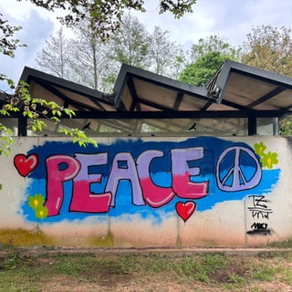 Legales Graffiti hat aus der beschmierten Wand in Körperich direkt ein buntes Kunstwerk gemacht.