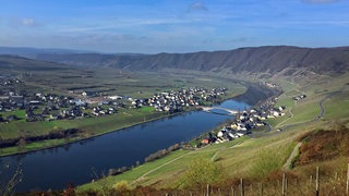 Weinlagen Piesport