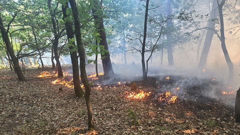 Oberhalb von Kinheim hat ein Waldstück gebrannt. Für die Feuerwehr war es nicht leicht, den Brand zu löschen. 