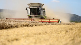 Der Bauern- und Winzerverband Rheinland-Nassau zieht eine gemischte Erntebilanz 2026.