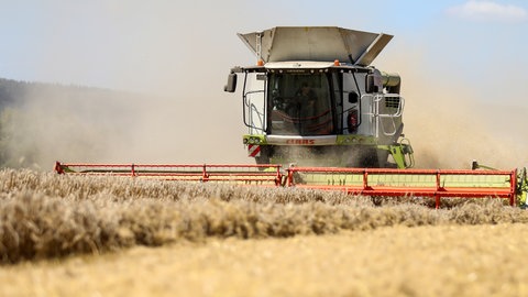 Die Landwirte in der Region Trier sind mit der Getreideernte zufrieden.