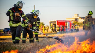 Die anhaltende Hitze sorgt auch in der Region Trier für immer mehr Waldbrände. 