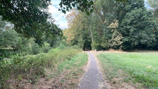 Die Stadt Wittlich will den Ohlingpark besser ausleuchten lassen. Derzeit ist es dort nachts stockfinster. 