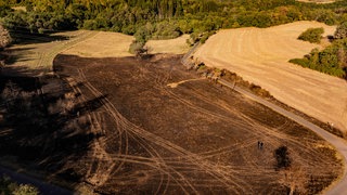 Eine Woche nach dem großen Feuer sehen Felder und Wälder bei Kronweiler aus wie eine Vulkanlandschaft. 