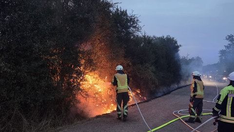 Nur einen Tag nach dem großen Feuer startete eine Brandserie in Birkenfeld. Wahrscheinlich wurde auch diese Hecke angesteckt. 