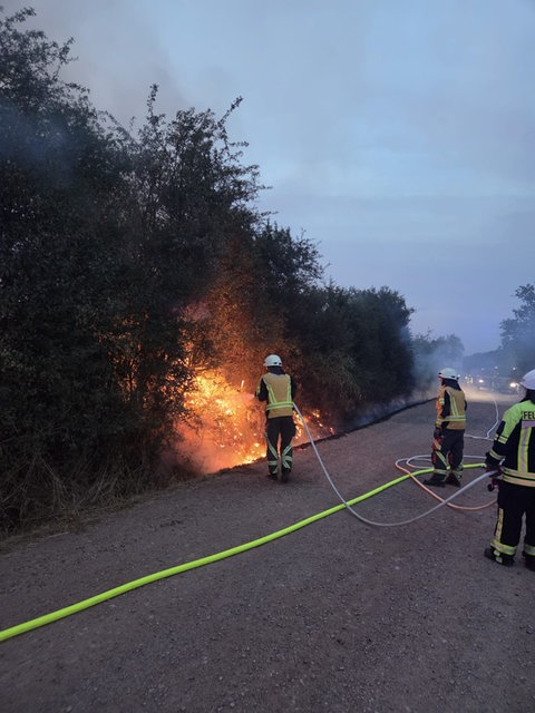 Nur einen Tag nach dem großen Feuer startete eine Brandserie in Birkenfeld. Wahrscheinlich wurde auch diese Hecke angesteckt. 