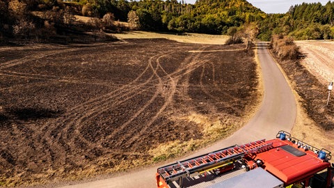 Eine Woche nach dem großen Feuer sehen Felder und Wälder bei Kronweiler aus wie eine Vulkanlandschaft. 