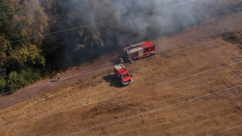 Bei Springiersbach ist ein Waldbrand ausgebrochen.