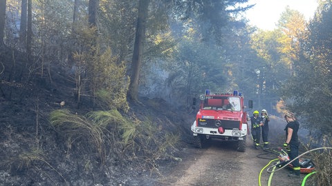 Wegen möglicher Weltkriegsmunition im Boden bleiben die Feuerwehrleute beim Löschen auf den Wegen.