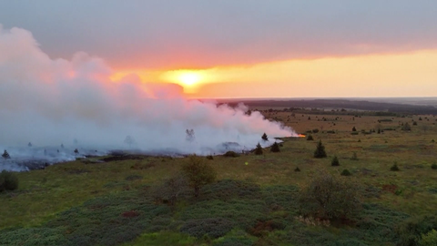 Im Naturschutzgebiet "Hohes Venn" in Belgien ist ein gewaltiges Feuer ausgebrochen. Der Rauch zieht derzeit über die Eifel. 