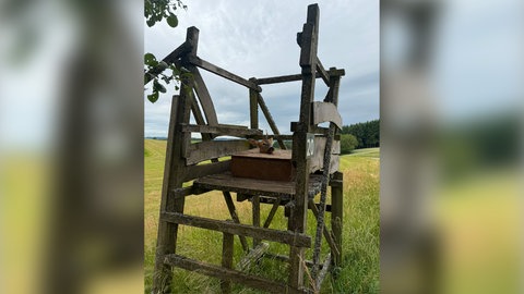Wieder hat es einen Fall von Jagdwilderei im Wald in Irsch gegeben. Die Polizei ermittelt.