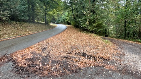 Unter diesem Waldweg zwischen Dhron und Papiermühle sollten eigentlich Kabel liegen. Nur wurden die nie verlegt. 