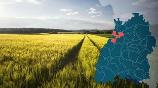Symbolbild Wahlkreis 272 Karlsruhe-Land Bundestagswahl 2021 in Baden-Württemberg