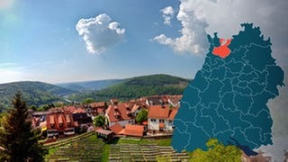 Symbolbild Wahlkreis 277 Rhein-Neckar Bundestagswahl 2021 in Baden-Württemberg