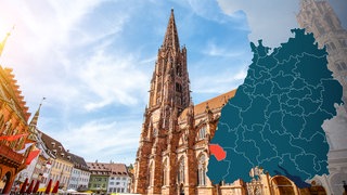 Symbolbild Wahlkreis 281 Freiburg Bundestagswahl 2021 in Baden-Württemberg