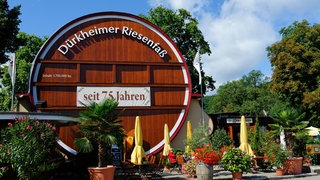 Wahlkreis-Check in Rheinland-Pfalz zur Landtagswahl 2021 - Bad Dürkheim