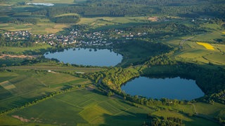 Wahlkreis-Check zur Landtagswahl 2021 in Rheinland-Pfalz