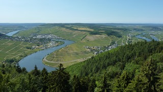 Wahlkreis-Check zur Landtagswahl 2021 in Rheinland-Pfalz