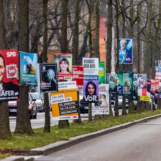 Wahlplakate zur Bundestagswahl 2025 in Heilbronn