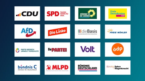 Diese Parteien stehen auf dem Stimmzettel zur Bundestagswahl: Parteilogos auf stehen in vierer Reihen auf eine blau-grünen Farbfläche
