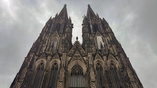 Dom und co