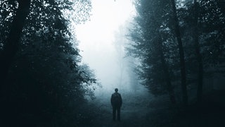 Wanderer in düsterem, nebligem Wald
