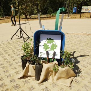 TreePeople Logo mit Schubkarren