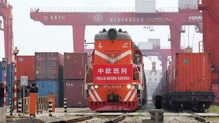 Ein chinesischer Güterzug auf dem Weg nach Europa steht zwischen Containern