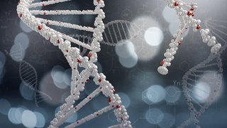 DNA-Moleküle bestehen aus zwei Ketten, die umeinander gewunden sind und eine Doppelhelix bilden