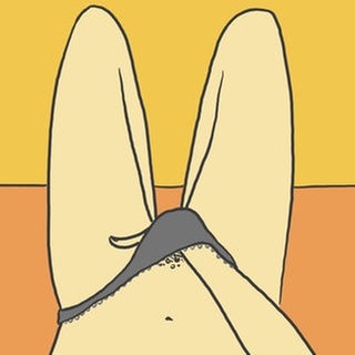 Solo-Sex und Masturbation: Die Hand einer Frau greift zwischen die Beine (Grafik) – Frauen sind im Porno- und Sexartikelgeschäft verstärkt als Kundinnen in den Blick geraten. Ihnen sollen Sex-Toys und feministische Pornos selbstbestimmten Sex ermöglichen. Dazu haben Künstlerinnen die Vulva als Kunstobjekt entdeckt. 