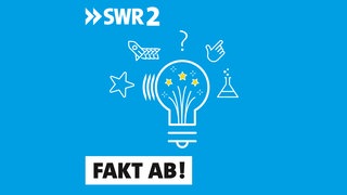 Das Podcastbild für "Fakt Ab!" an Silvester