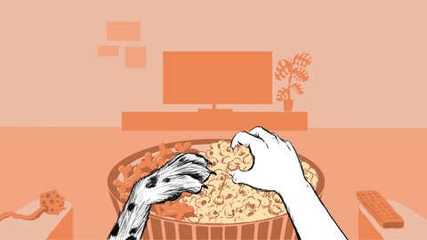 Das Tier und Wir: Die Liebe zum Haustier