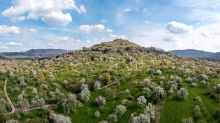 Streuobstwiesen bei Weilheim an der Teck im Frühling. Streuobstwiesen sind ein Refugium der Artenvielfalt und gehören zur Kulturlandschaft. Und sie sind in Gefahr. Mangelnde Baumpflege, schlechte Wirtschaftlichkeit und anhaltender Flächenfraß – bis 2050 droht ein Totalverlust. 