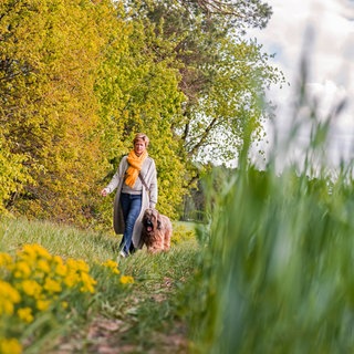 Eine Frau geht mit ihrem Hund spazieren auf einer Wiese am Waldrand spazieren: In fast jedem zweiten Haushalt in Deutschland wohnt eine Person allein. Manche sind bewusst Single, für andere ist es ein Zustand auf Zeit. Vor allem Singlefrauen verspüren den Druck, sich zu binden. 