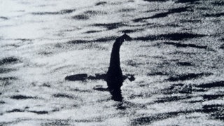 Ein Foto, das angeblich das Monster von Loch Ness zeigt.